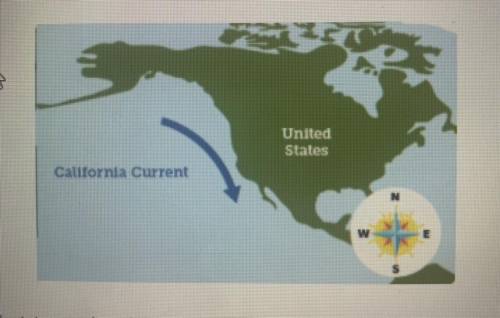 Plz help I’ll give you brainliest!!

The California Current is a surface current that carries
wate