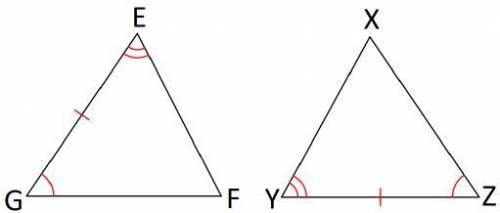 Triangle EFG is congruent to triangle YXZ by ASA. The congruent parts already marked in the picture