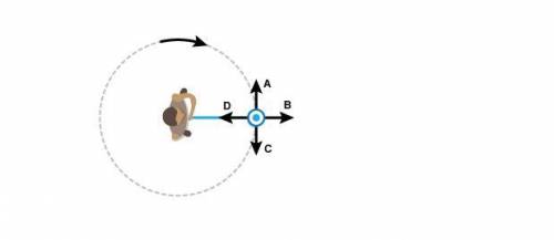 The picture below shows a person swinging a yo-yo in a circle. Which vector shows the velocity of t