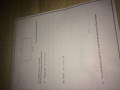 Help me please with this maths question thank you