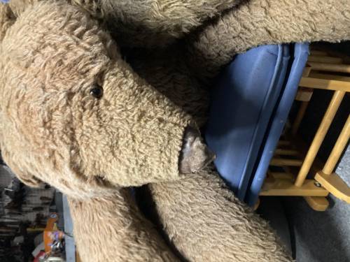 What brand is this teddy bear? Bear has glass eyes, leather paws and nose, and pointed nose.