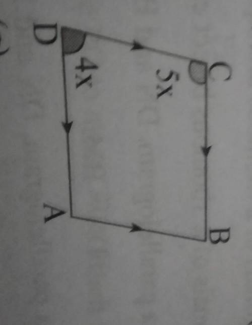 Find the value of x Wrong answer will be reported and explain please​