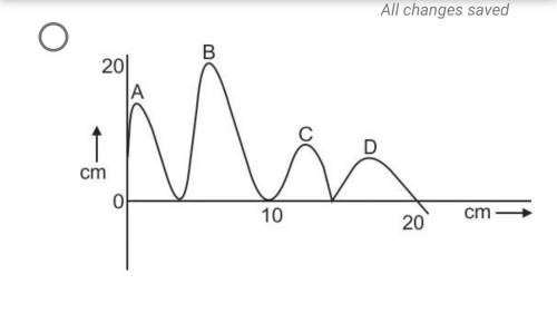 (URGENT!) Which of these graphs best models the waves in the four locations?
(100 points)