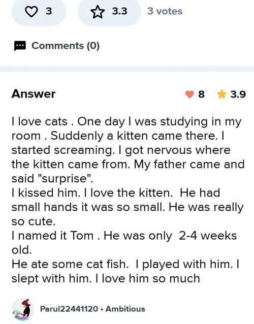 Story with a lead sentence ''his father brought a new cat''​