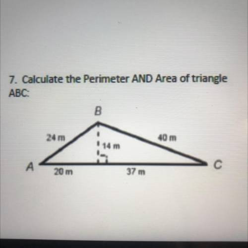 7. Calculate the Perimeter AND Area of triangle

 ABC
B
24 m
40 m
14 m
А
с
20 m
37 m