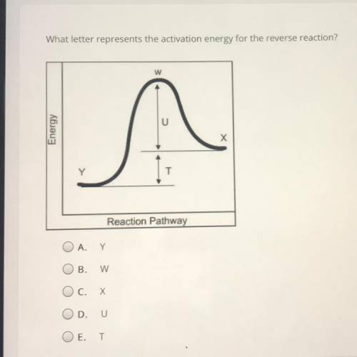 What letter represents the activation energy for the reverse reaction?

w
Energy
A
Х
Reaction Path