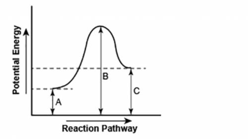 PLEASE HELP QUICKLY

The diagram shows the potential energy changes for a reaction pathway. (10 po
