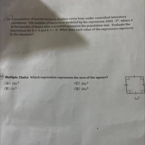 Can someone help with both questions 19 & 20