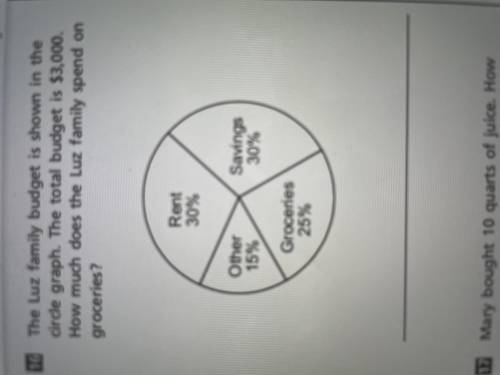The Luz family budget is shown in the circle graph. The total budget is $3,000. How much does the L