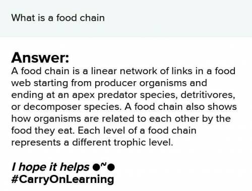 What is a food chain ​