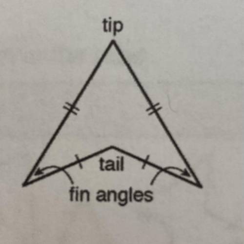 5. Make a conjecture about the line that contains the diagonal from the tip of the vertex of the ta