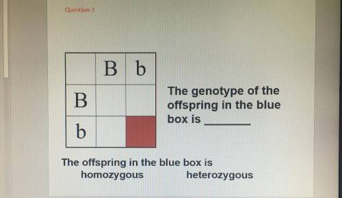 What is the answer with explaining and what I put in the empty box