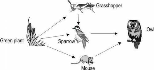 Here is a food web:
 

Which of these correctly describes what the arrow stands for? a. Eats b. Get