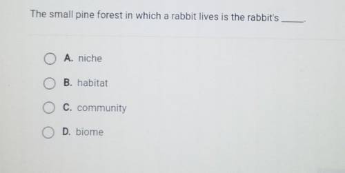 The small pine forest in which a rabbit lives is the rabbit's ______.​