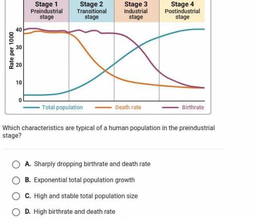The chart shows four stages of demographic transition.