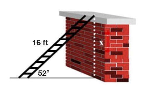 PLEASE HELP!!

A 16 ft ladder is propped up against a building at an angle of 52°. How far up the