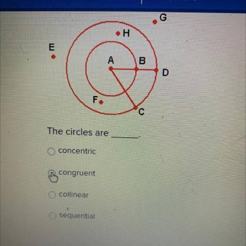 Math What the circles are