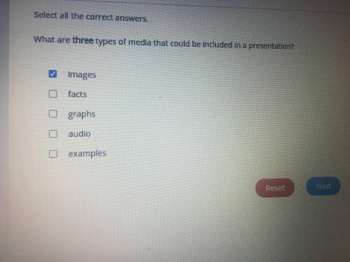 What are three types of media that could be included in a presentation