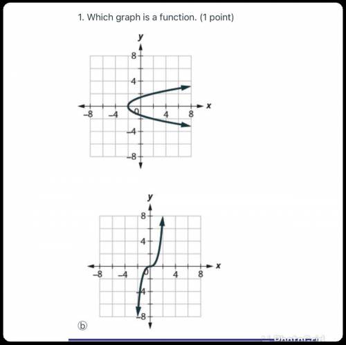 Which graph is a function?