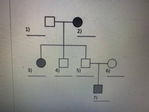 Fill in the genotypes for each individual in the pedigree below. Treat “H” as the dominant allele a