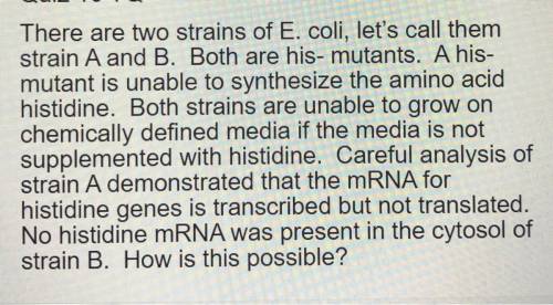 There are two strains of E. coli, let's call them

strain A and B. Both are his- mutants. A his-
m