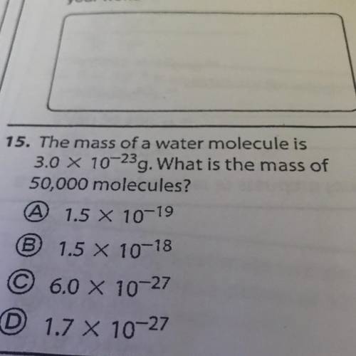 Can anyone help me with this answer?