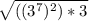 \sqrt{((3^7)^2)*3}