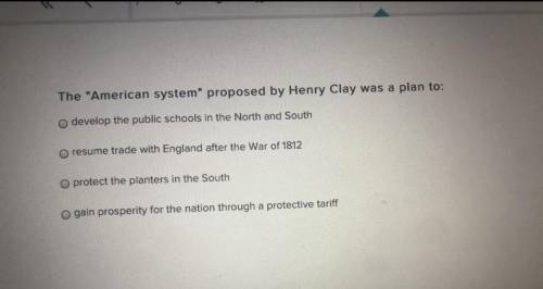 The American system proposed by Henry clay was a plan to? ( No links aloud )