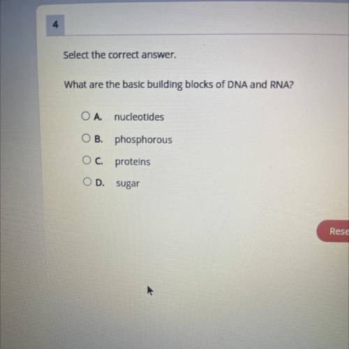 Select the correct answer.

What are the basic building blocks of DNA and RNA?
A.nucleotides
B. ph