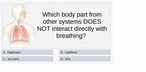 Which body part from other systems DOES NOT interact directly with breathing?