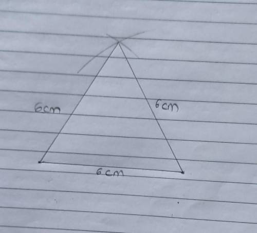 Use a ruler and compasses to construct an equilateral triangle with sides of length 6cm ​