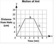 Question 4 (Essay Worth 10 points)

(05.06 MC)
The distance, y, in centimeters, of an ant from a h
