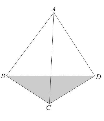 Classify the figure. Identify its vertices, edges, and bases.