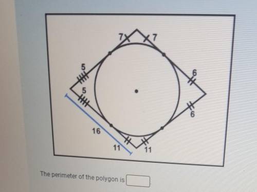 HELP say im getting it wrong the perimeter of the polygons is ?​