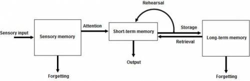 The Atkinson-Shiffrin Memory Model

The Atkinson-Shiffrin three-stage model of memory defines thre