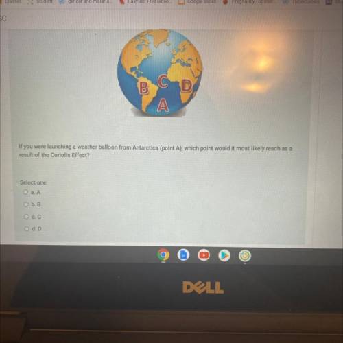 Need help what is the answer