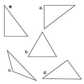 Choose the figure(s) that is/are congruent to the shape labeled with an asterisk (*).

A. All of t