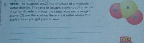 STEM The diagram shows the structure of a molecule of sulfur dioxide. The ratio of oxygen atoms to