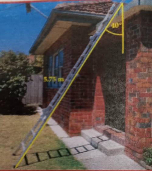 (trigonometry)

A 5.75m ladder rests against a wall so that its angle with the wall is 40 degrees.