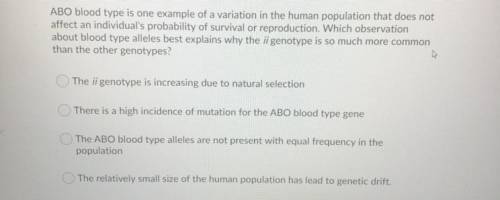 Why the ii genotype is so much more common than the other genotypes?