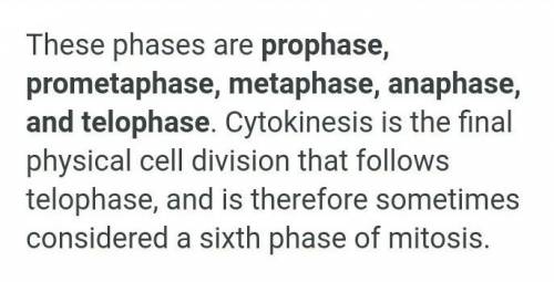 What is the correct order of the stages of Mitosis?