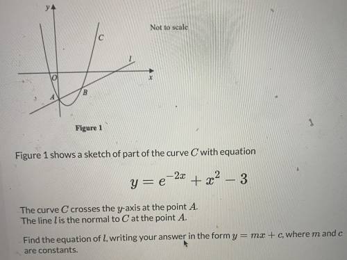 Algebra pleaseeeeeee help