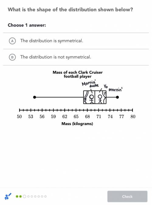 What is the shape of the distribution shown below?

Choose 1 
A) The distribution is symmet