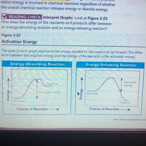 how does the energy of the reactants and products differ between an energy absorbing reaction and a