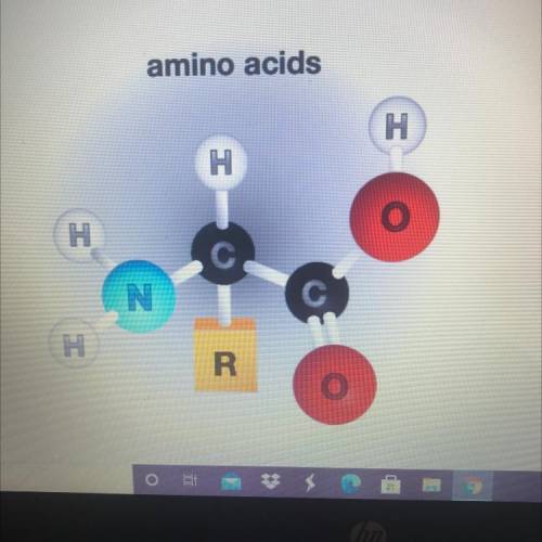 Which option explains why this amino acid can act

both an acid and a base?
(1 point)
It contains