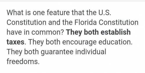 What is one feature that the US Constitution and the Florida constitution have in common?