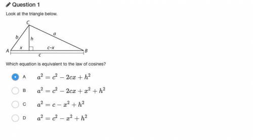 Please Help!! I am really stuck on this assignment and i need it done