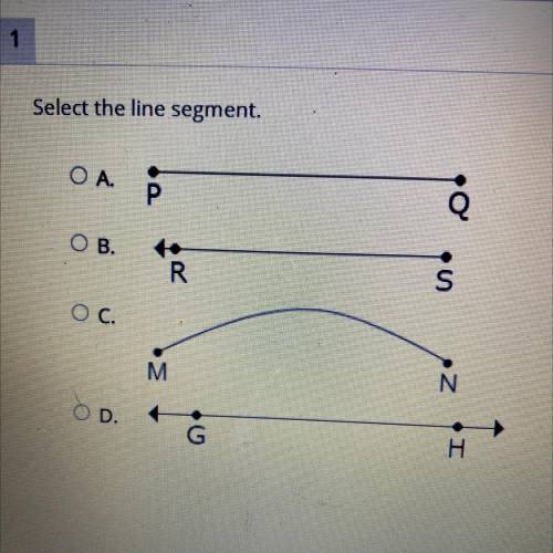 Select the line segment.
O A.
P
OB.
R
S
Ос.
M
N
OD.
G
H