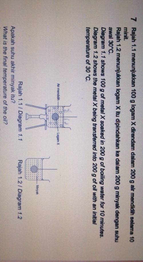 Please help me with this physics question ASAP