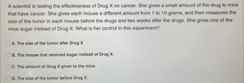 What is the control in the experiment?